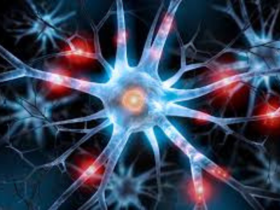 Neuroscience 1